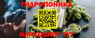 крисы Гай