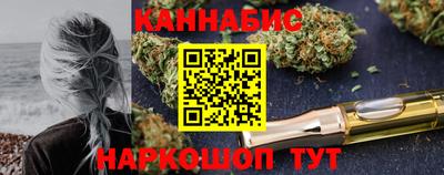крисы Гай