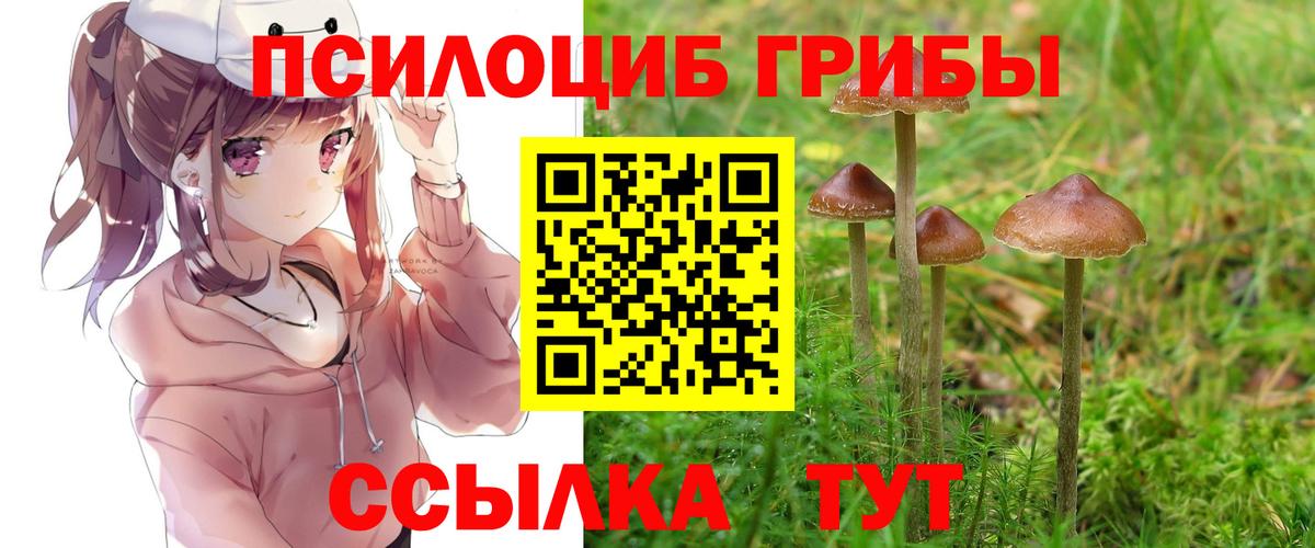 Псилоцибиновые грибы ЛСД Ачинск